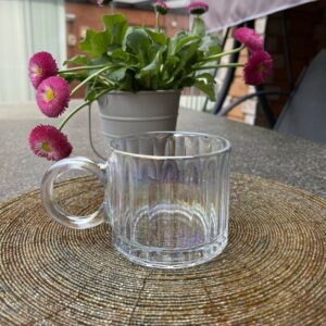 "Rainbow" Big Ear Mug